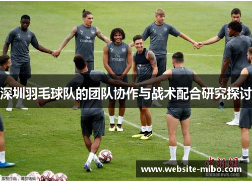 深圳羽毛球队的团队协作与战术配合研究探讨