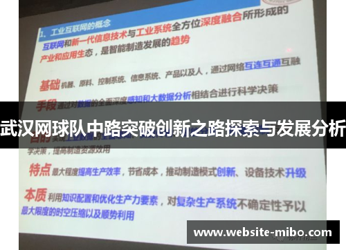 武汉网球队中路突破创新之路探索与发展分析